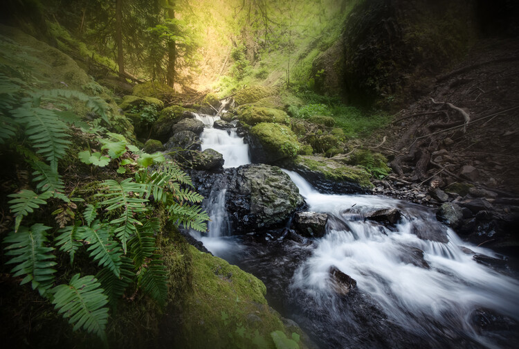 Juliste Emerald Falls