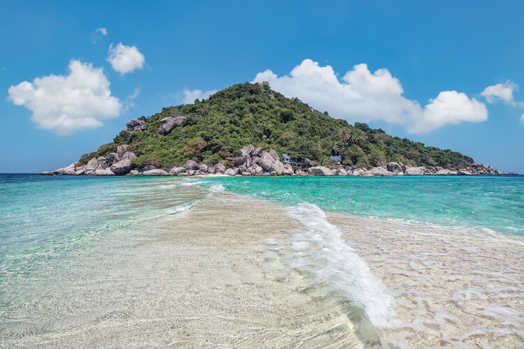 Poster Koh Tao