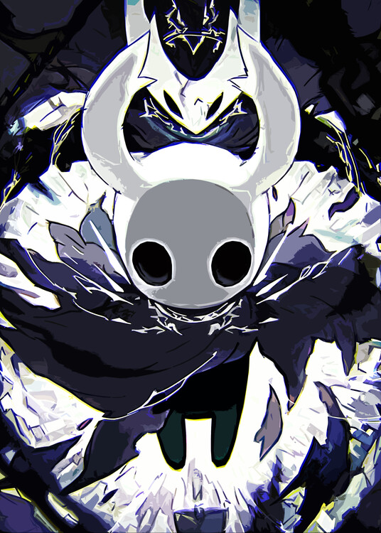 Canvas Print Knight #3