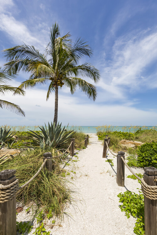 Plakat Path to the beach