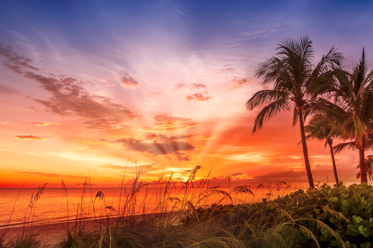 Plakat BONITA BEACH Picturesque Sunset