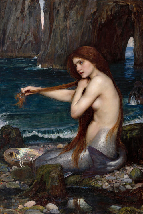 Принти на полотні The Mermaid