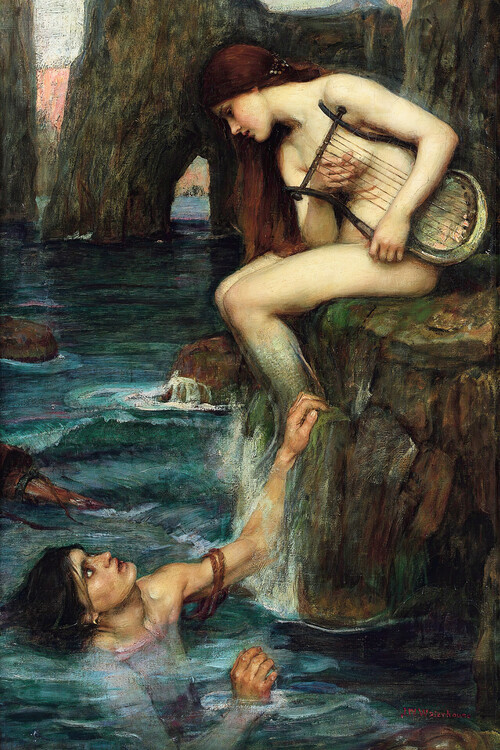 Плакат The Siren