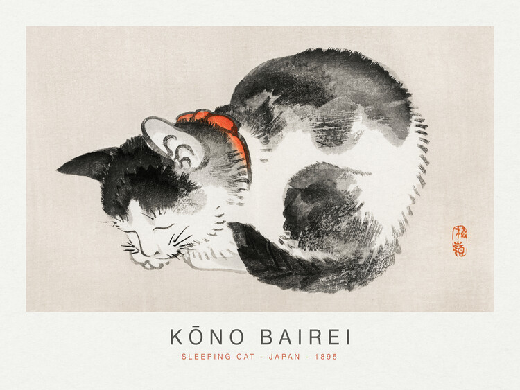 Wall Mural Sleeping Cat (Special Edition Japandi) - Kōno Bairei