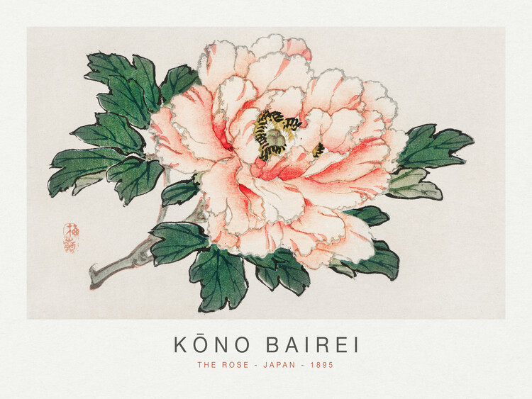 Poster The Rose (Special Edition Japandi) - Kōno Bairei