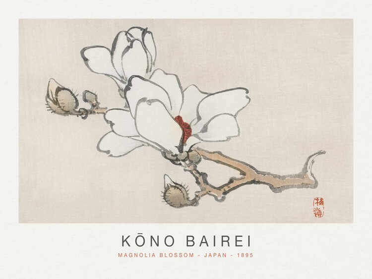 Poster Magnolia Blossom (Special Edition Japandi) - Kōno Bairei