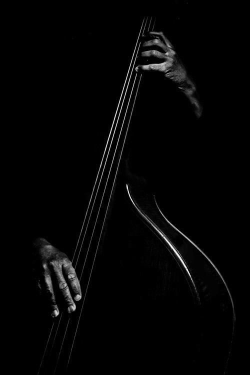 Poster Le contrebassiste