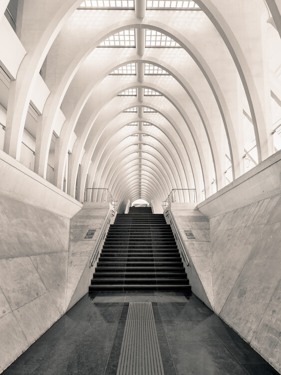 Poster Inside Calatrava