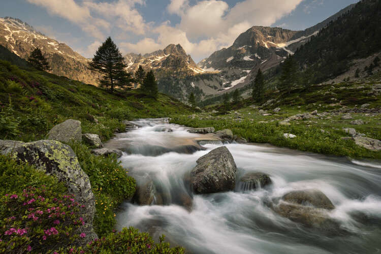 Canvas Print Maritime Alps Park