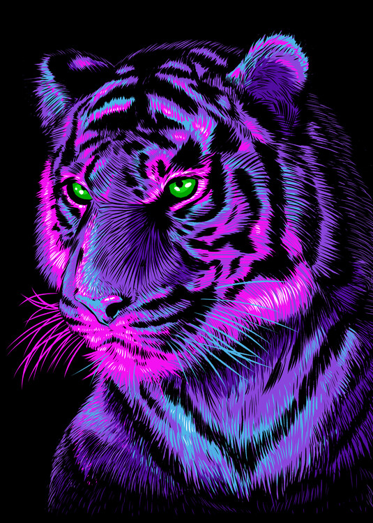 Плакат Purple Tiger