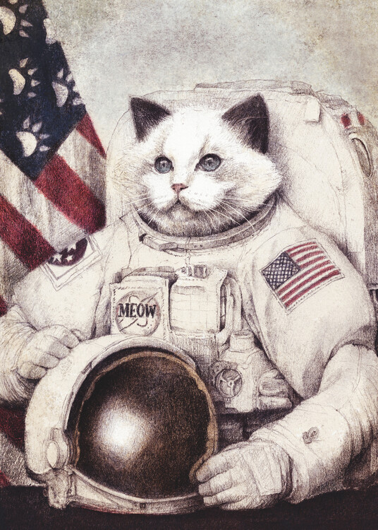 Plakat Meow out in Space