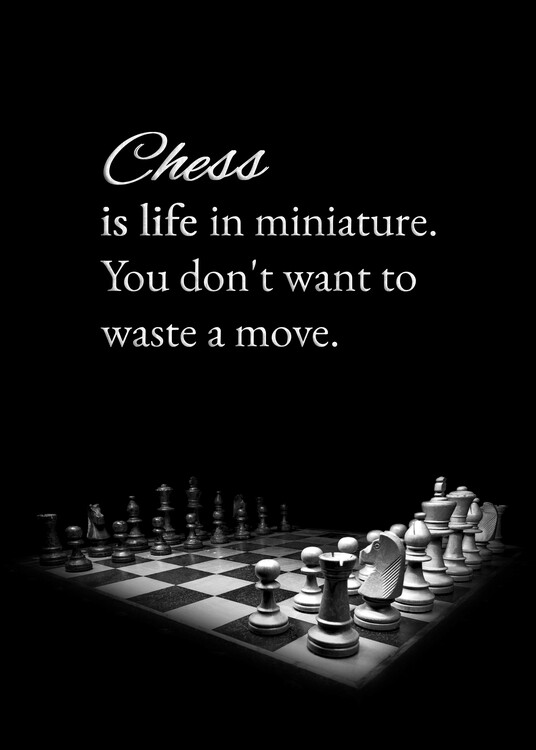 Plakát Chess and Life