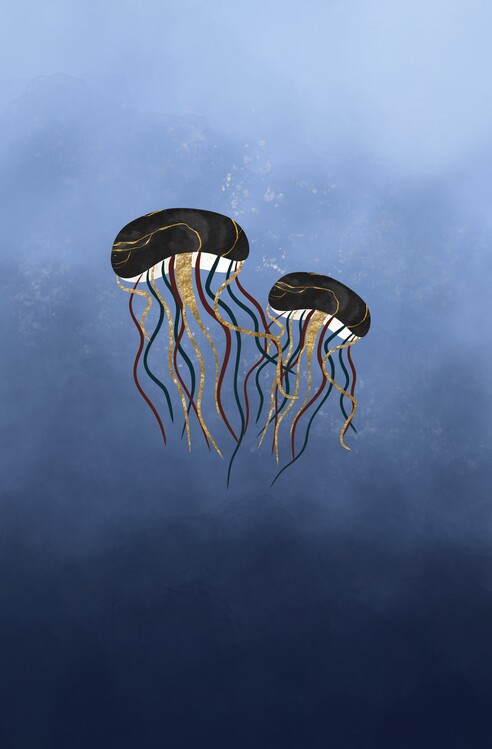 Плакат Jellyfish