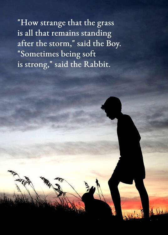 Plakát Boy and Rabbit