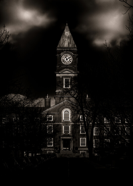Плакат School Daze No 7 Toned Version