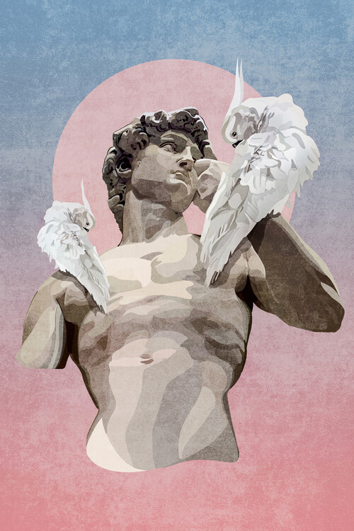 Poster Emel Tunaboylu - David with a Parrot