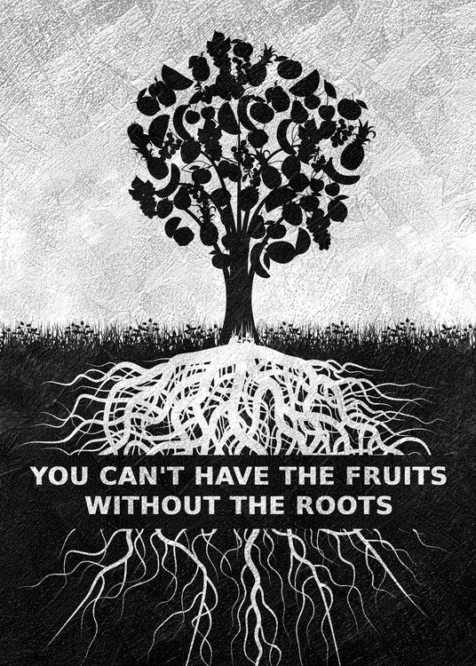 Plakát Fruits and Roots