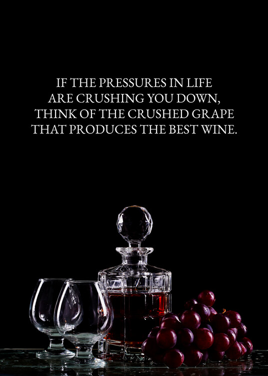 Plakát Crushed Grapes Wine