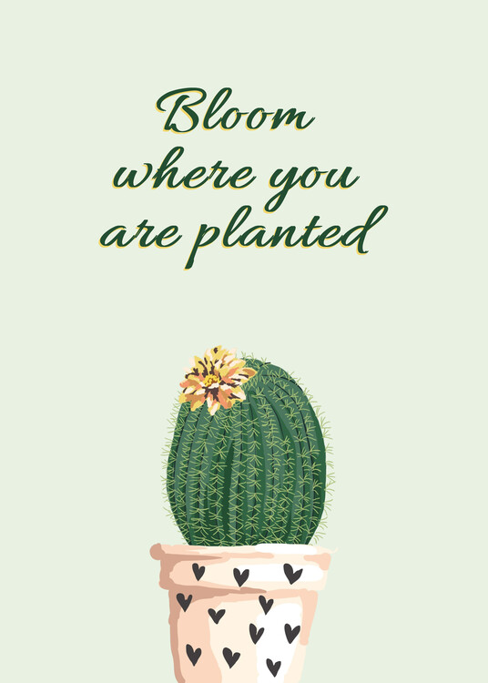 Plakát Cactus Bloom