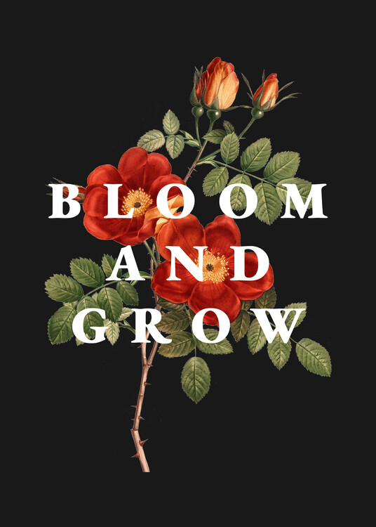 Plakát Bloom and Grow 2