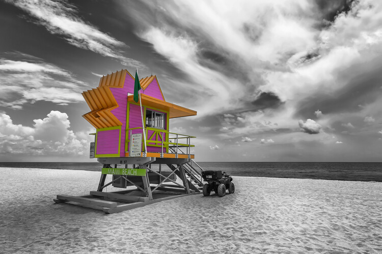 Плакат MIAMI BEACH Pink Florida Flair