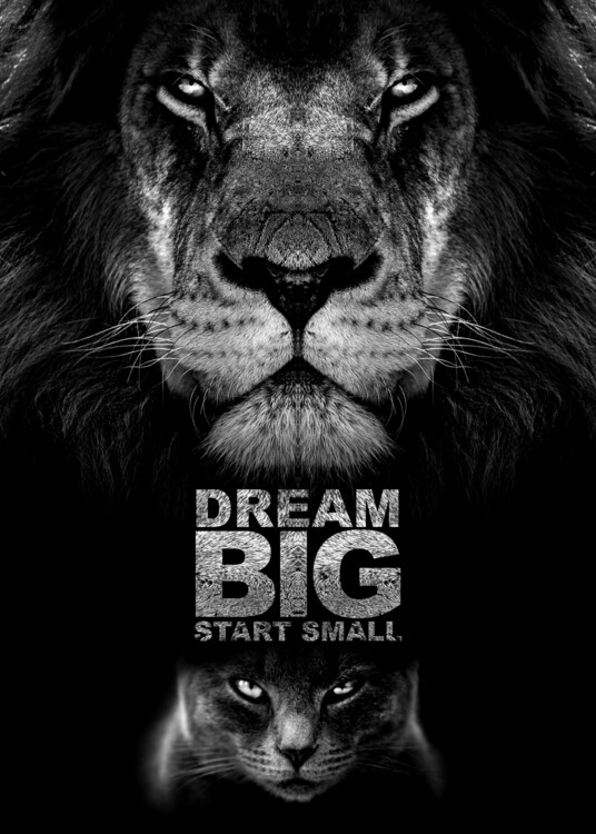 Plakát Dream Big Start Small