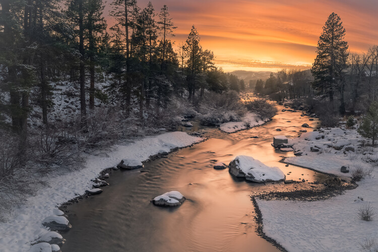 Juliste Truckee