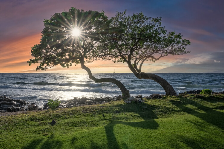 Juliste Maui Sunset