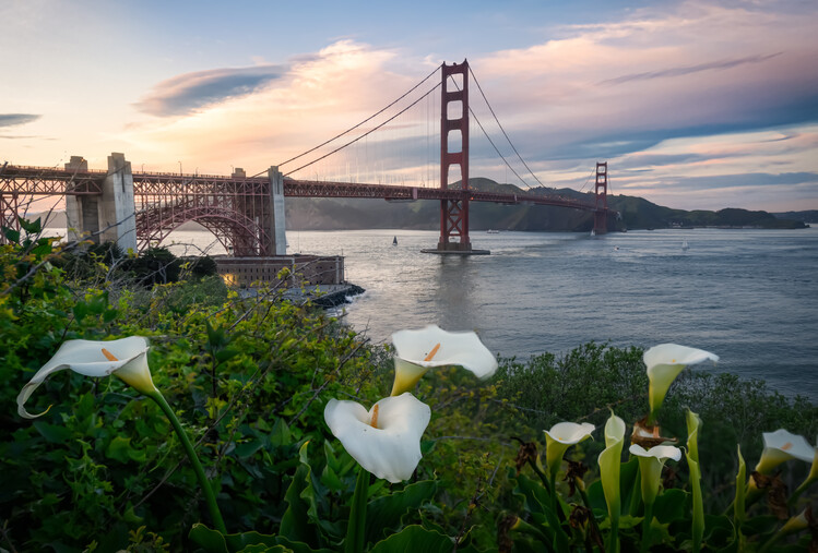 Juliste Presidio Springtime