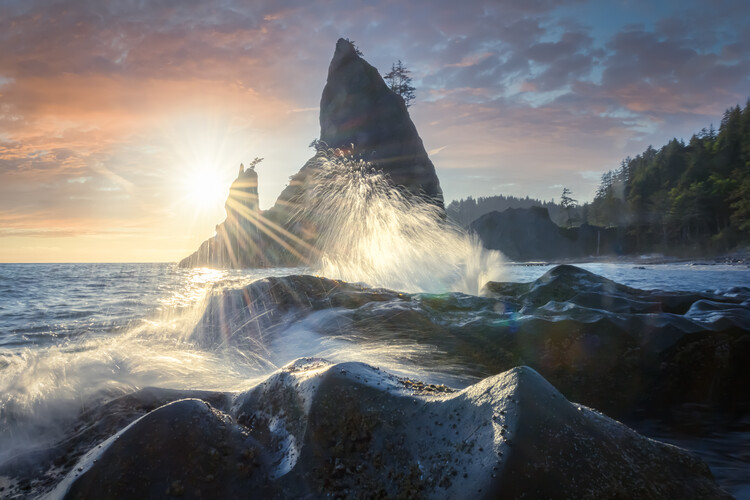 Juliste Rialto Waves