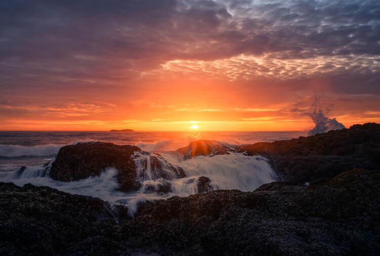 Juliste Surf of Fire