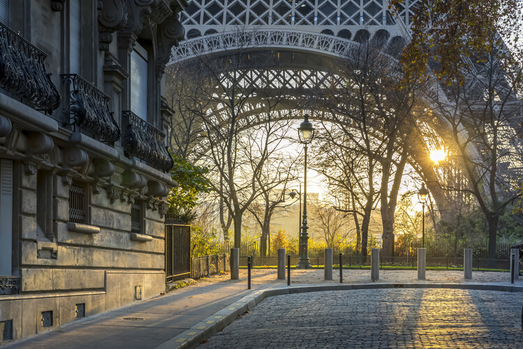 Juliste Morning Light