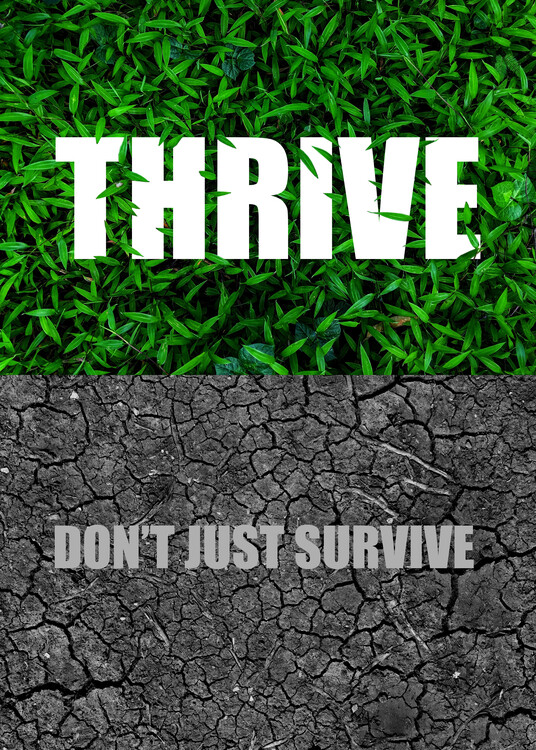 Plakát Thrive