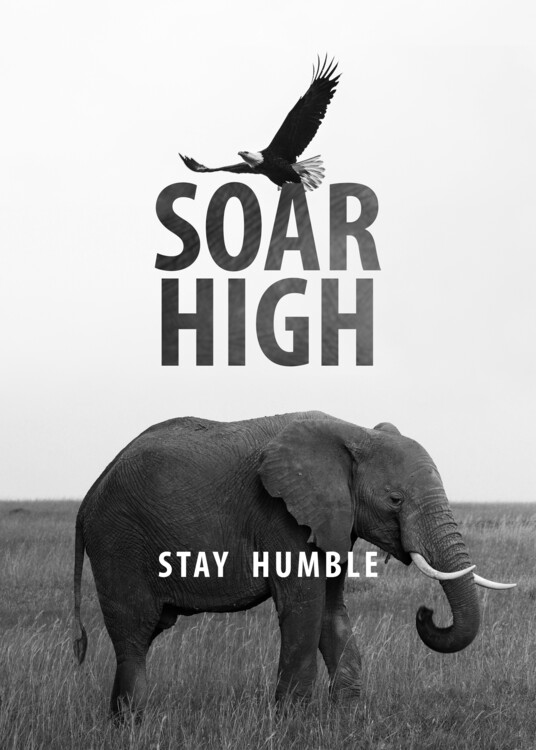 Plakát Soar High Stay Humble