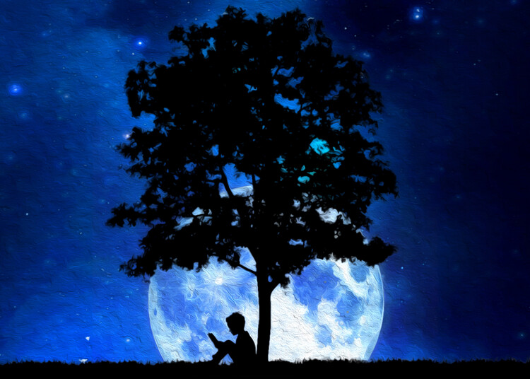 Poster Truth Seeker Boy