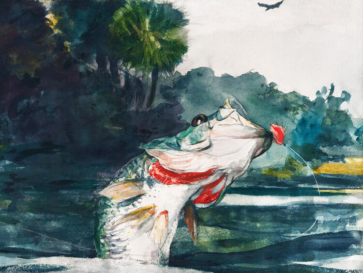 Poster Life-Size Black Bass (Vintage Fishing) - Winslow Homer