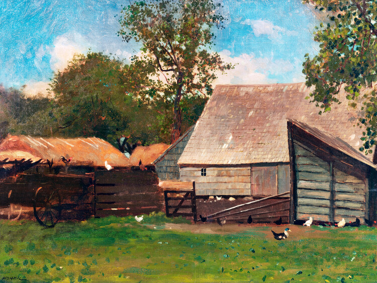 Poster Farmyard with Ducks & Chickens (Farmhouse in Summer) - Winslow Homer