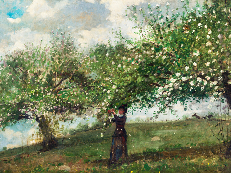 Poster Girl Picking Apple Blossoms