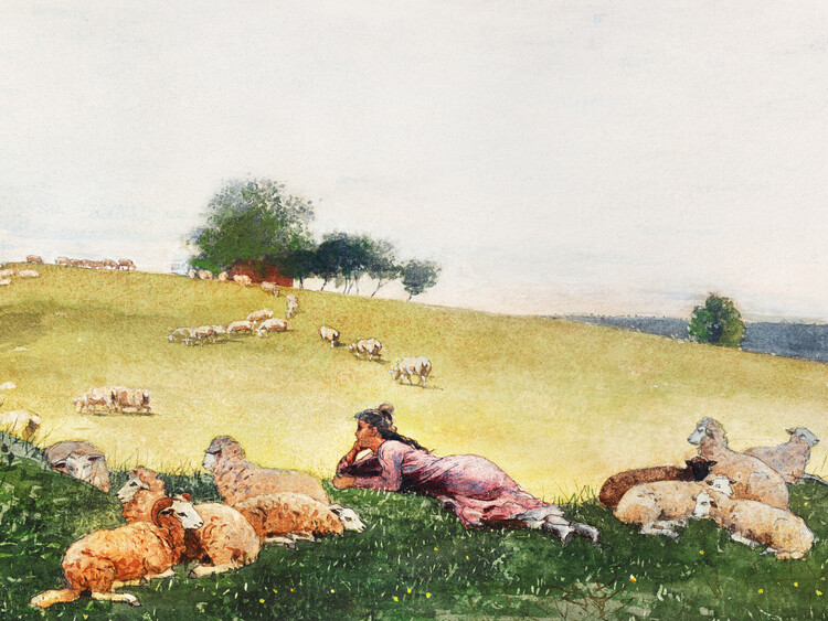 Poster The Shepherdess of Houghton Farm (Landscape with Sheep) - Winslow Homer