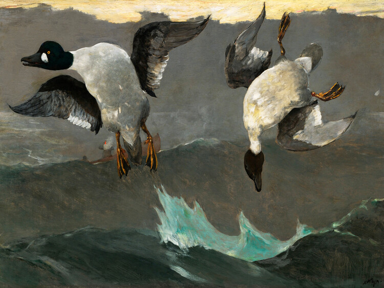 Poster Wild Ducks over the Water (Left & Right) - Winslow Homer