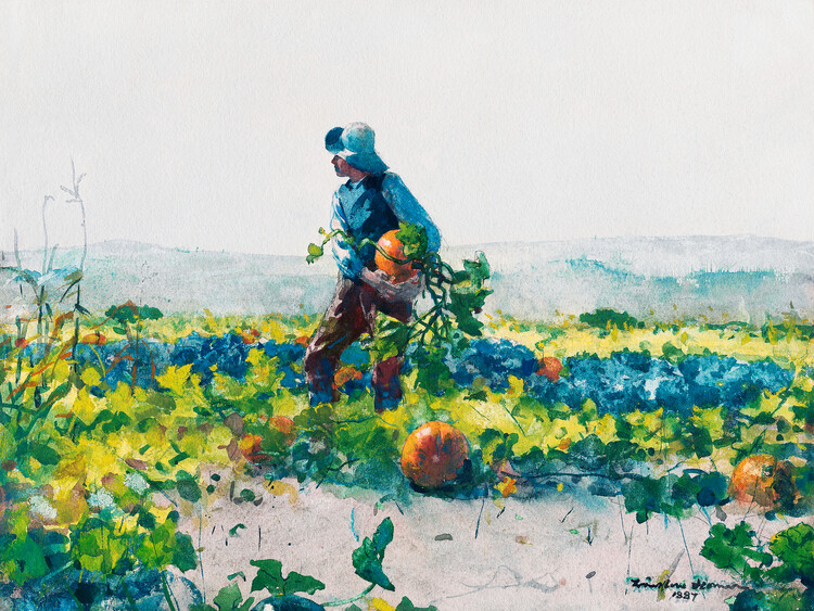 Poster The Pumpkin Picker