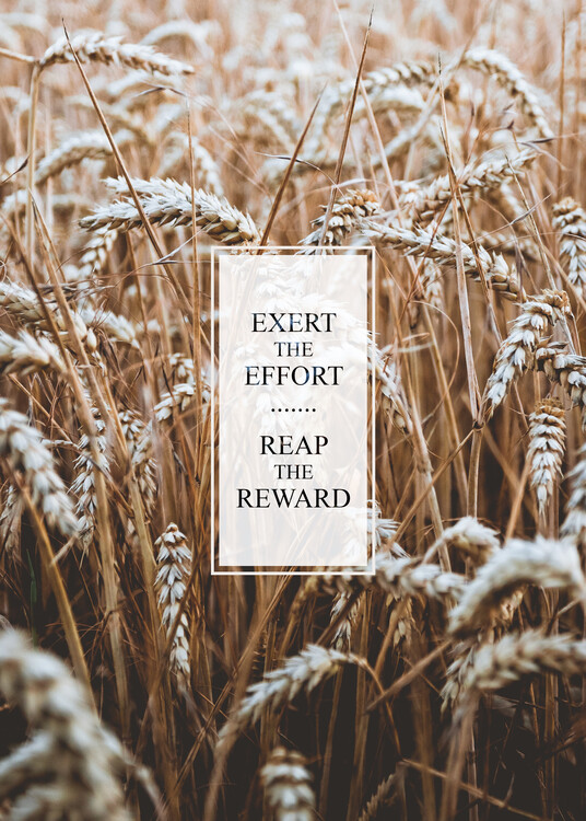 Plakát Exert the Effort Reap the Reward
