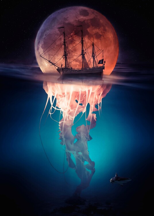 Poster Pirate Jellyfish and Moon