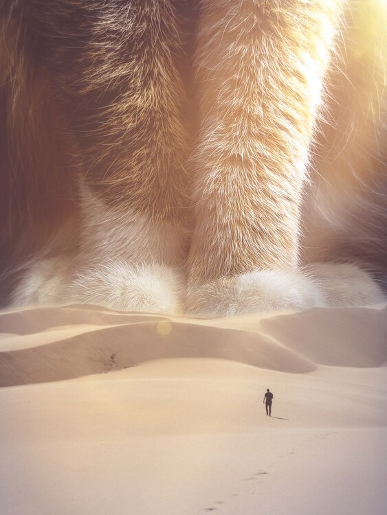 Poster Giant Cat in Desert