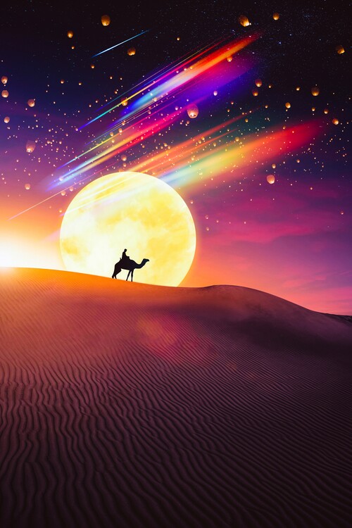Poster Dromedary Desert and Moon