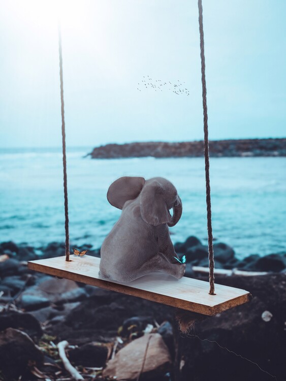 Poster Elephant on swing facing the sea
