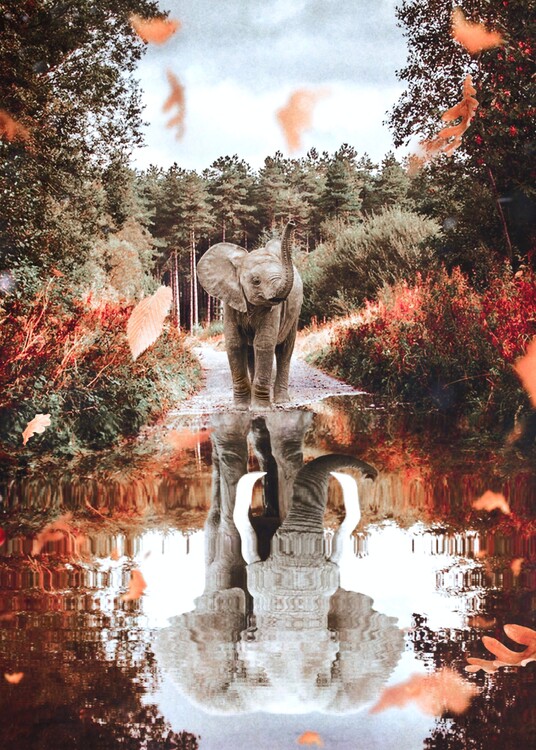 Poster Baby Elephant and Autumn Vibes