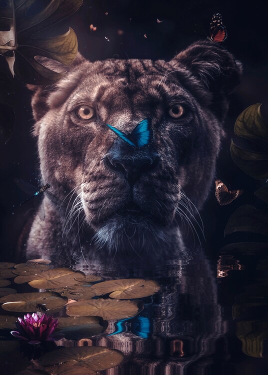 Poster Wild lioness taking a bath