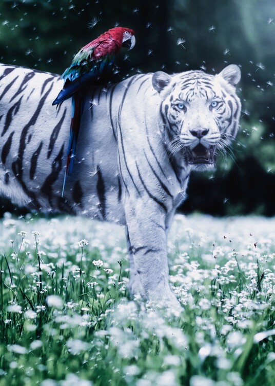 Poster White Tiger and Parrow