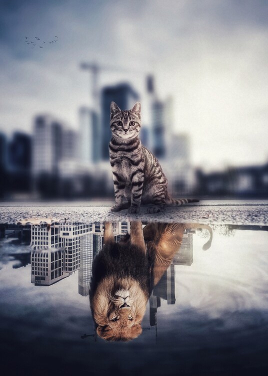 Poster The Lion City Puddle Reflection